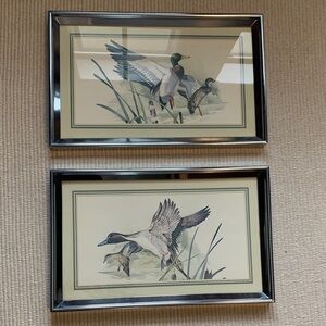2 Vintage Mallard Duck Watercolor Art Prints In Chrome Frames